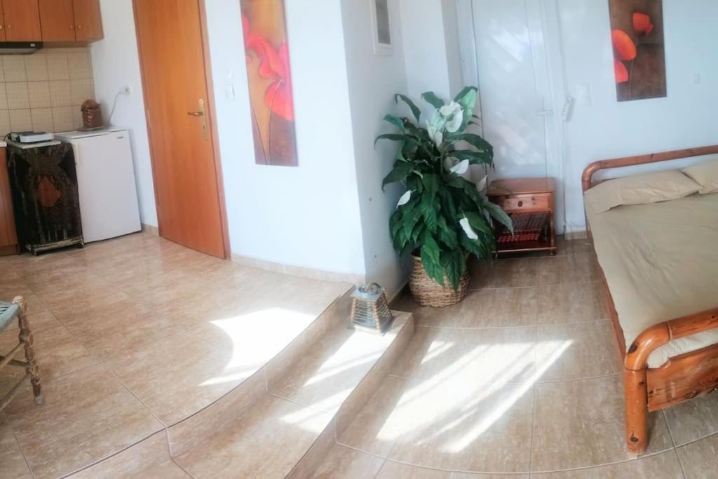 Appartement 35sm In Rachais Kiparissia Sea View *